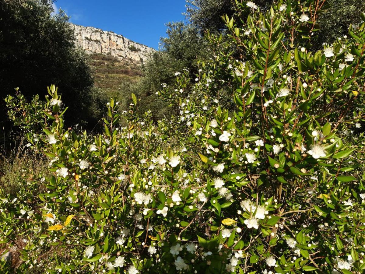 A Casa Di Carla Διαμέρισμα Terracina Εξωτερικό φωτογραφία