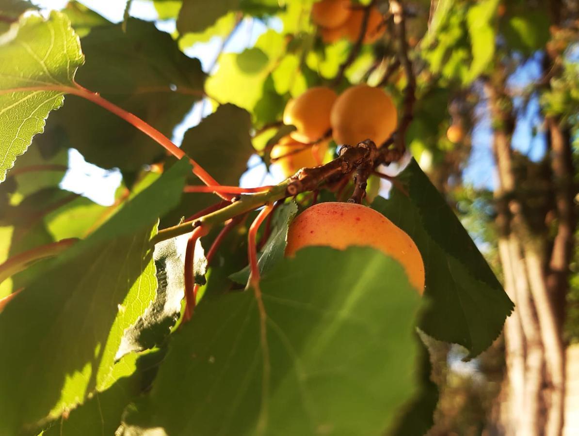 A Casa Di Carla Διαμέρισμα Terracina Εξωτερικό φωτογραφία