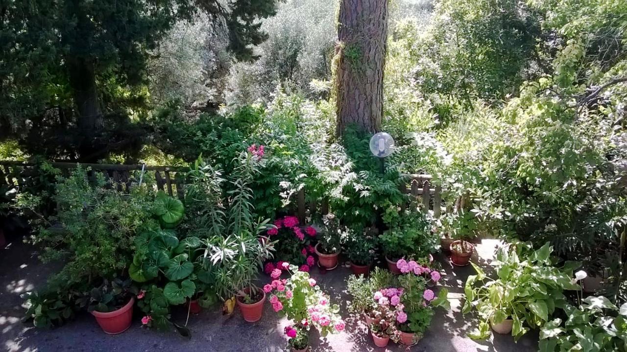 A Casa Di Carla Διαμέρισμα Terracina Εξωτερικό φωτογραφία